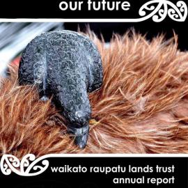 2010 Waikato Raupatu Lands Trust Annual Report