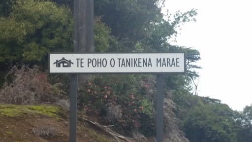 Te Poho o Tanikena (Opuatia)